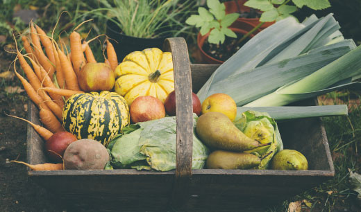 What's in Season at the Old Town Auburn Fall Farmers’ Market?